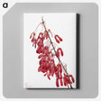 2-44_Mary-Vaux-Walcott_canvas