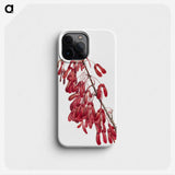2-44_Mary-Vaux-Walcott_phone
