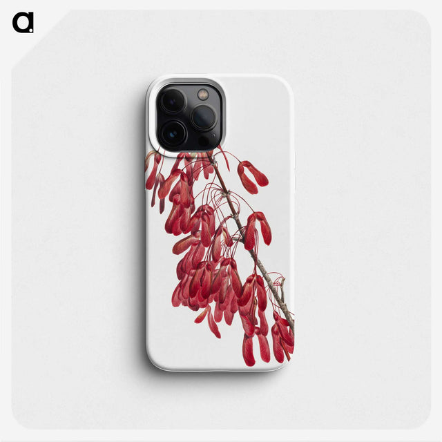 2-44_Mary-Vaux-Walcott_phone