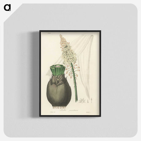 2-44_Medical-Botany_blk-crop