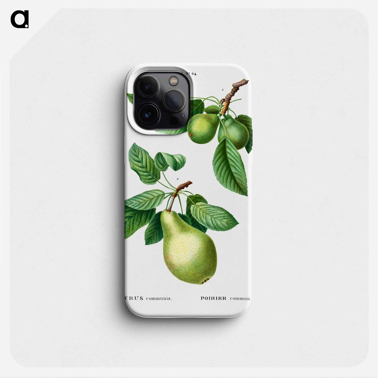 Pear, Pyrus communis - ピエール ジョゼフ ルドゥーテ Phone Case.