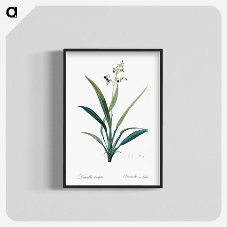 2-44_The-Lilies_blk-crop