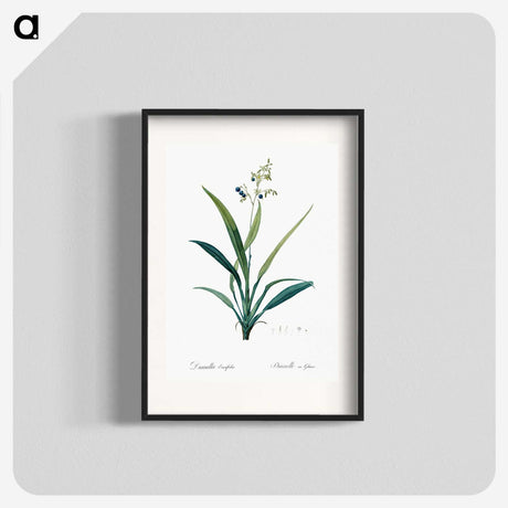 2-44_The-Lilies_blk