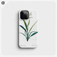 2-44_The-Lilies_phone