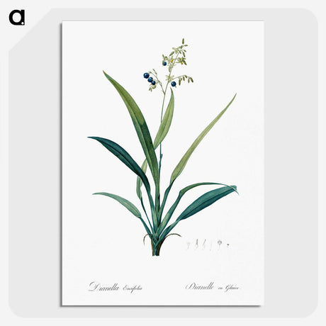 2-44_The-Lilies_picture-crop