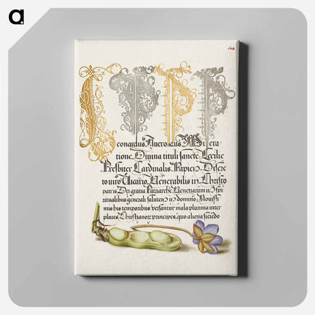 アートパネル-Broad Bean and Liverleaf from Mira Calligraphiae Monumenta
 - 書道のお手本 Canvas.