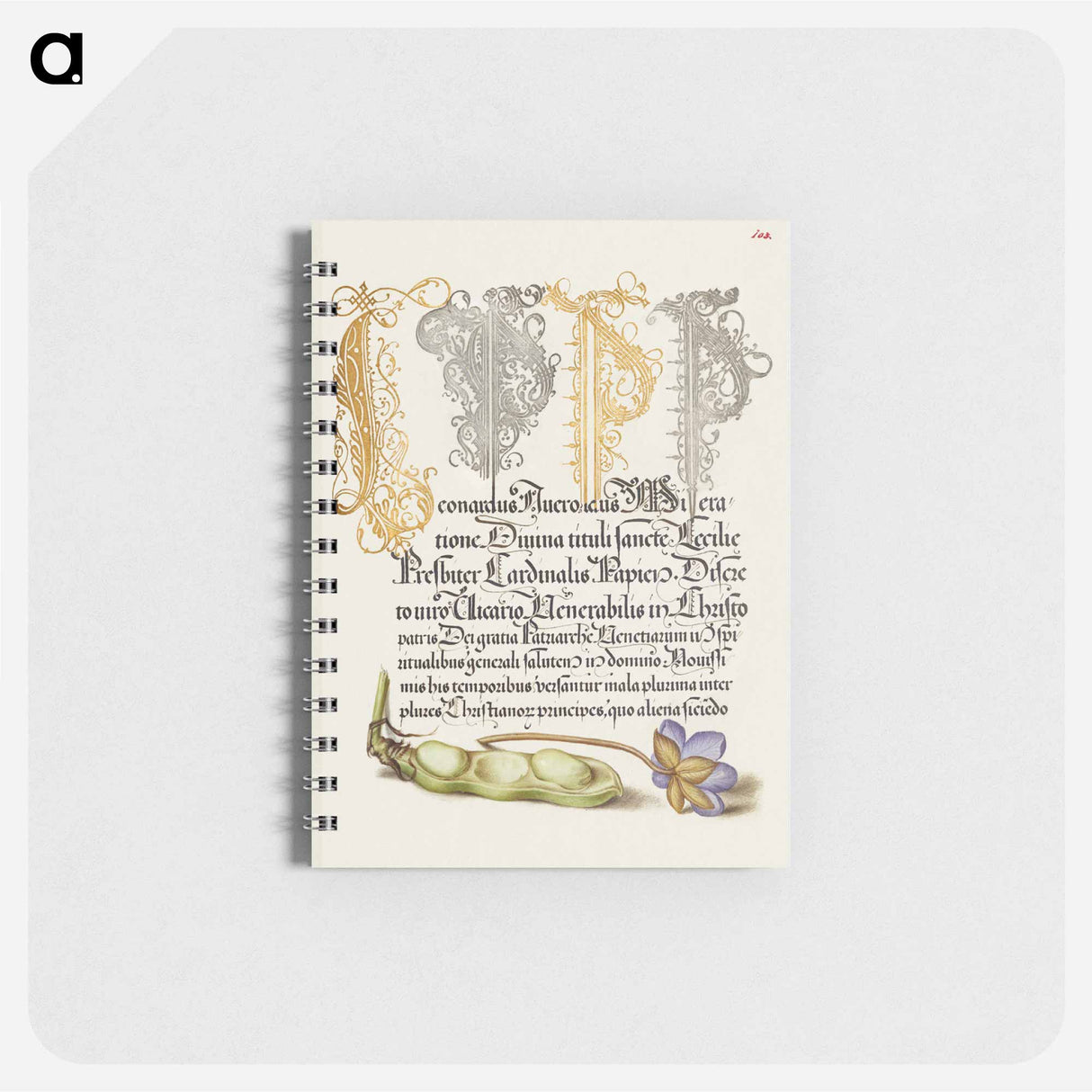 アートメモ帳-Broad Bean and Liverleaf from Mira Calligraphiae Monumenta
 - 書道のお手本 Memo.