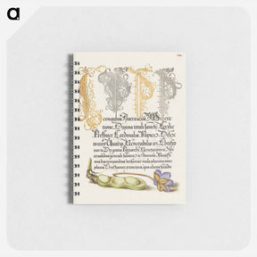 アートメモ帳-Broad Bean and Liverleaf from Mira Calligraphiae Monumenta
 - 書道のお手本 Memo.