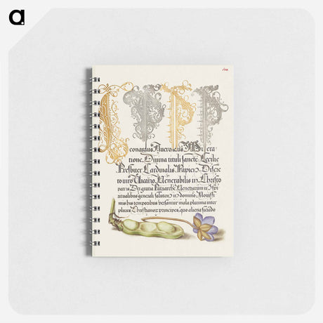 アートメモ帳-Broad Bean and Liverleaf from Mira Calligraphiae Monumenta
 - 書道のお手本 Memo.