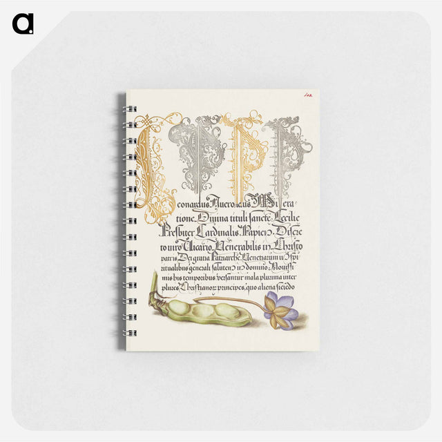 アートメモ帳-Broad Bean and Liverleaf from Mira Calligraphiae Monumenta
 - 書道のお手本 Memo.