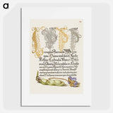 アートポスター-Broad Bean and Liverleaf from Mira Calligraphiae Monumenta
 - 書道のお手本 Poster.