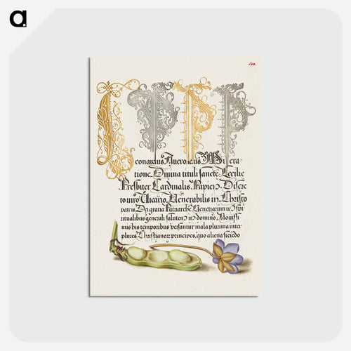 Broad Bean and Liverleaf from Mira Calligraphiae Monumenta
 - 書道のお手本 Postcard.