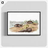 2-44_The-Viviparous-Quadrupeds_blk-crop