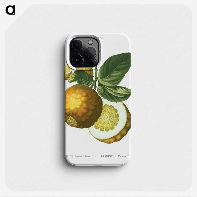 2-44_Treatise-on-Trees-and-Shrubs_phone