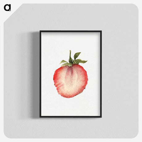2-44_USDA-Watercolor-Fruit-Painting-Collection_blk-crop