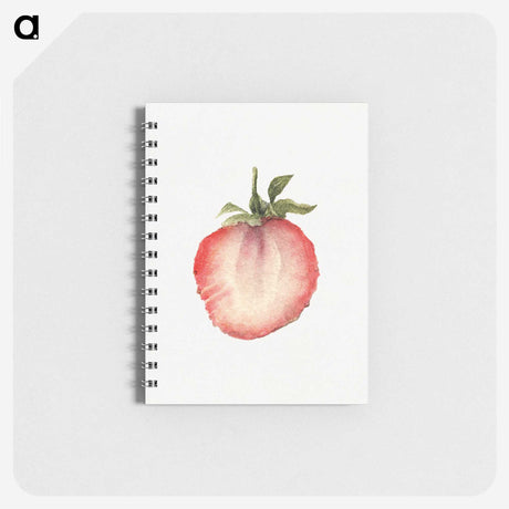 2-44_USDA-Watercolor-Fruit-Painting-Collection_memo