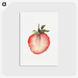 2-44_USDA-Watercolor-Fruit-Painting-Collection_postcard