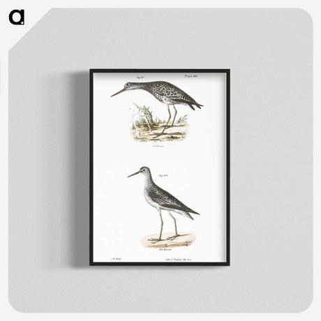 2-44_Zoology-of-New-York_blk-crop