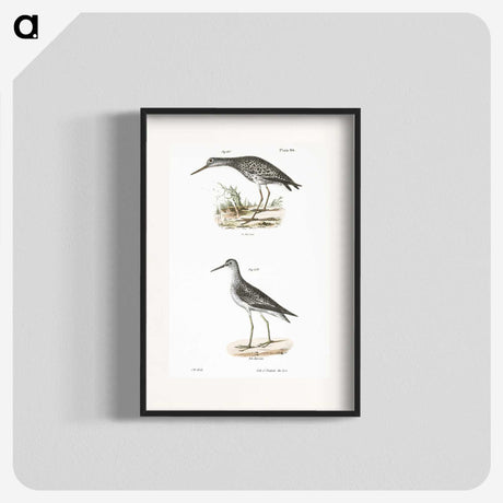 2-44_Zoology-of-New-York_blk