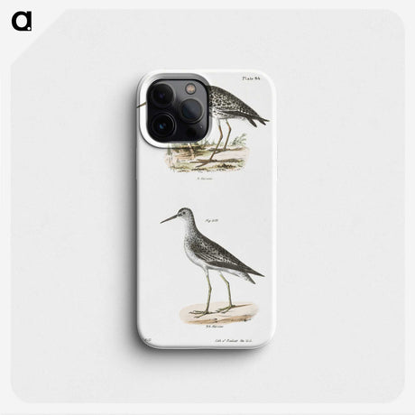 2-44_Zoology-of-New-York_phone