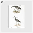 2-44_Zoology-of-New-York_postcard