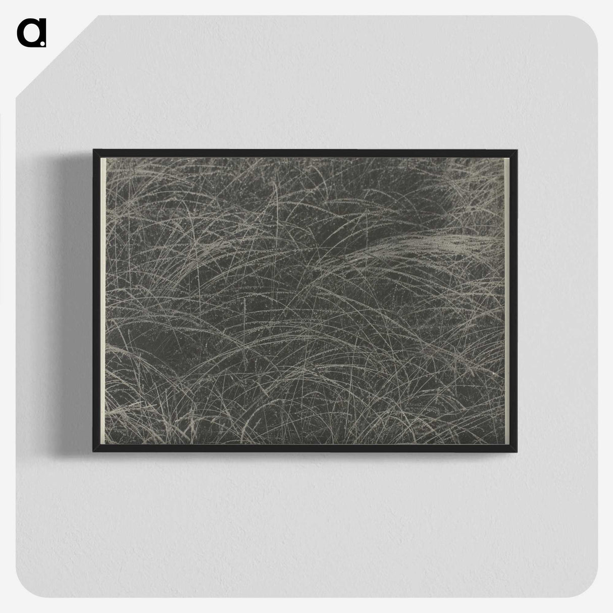 2-45_Alfred-Stieglitz_blk-crop