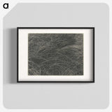 2-45_Alfred-Stieglitz_blk