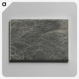 2-45_Alfred-Stieglitz_canvas