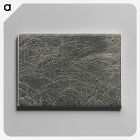 2-45_Alfred-Stieglitz_canvas