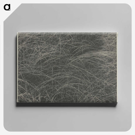 2-45_Alfred-Stieglitz_canvas
