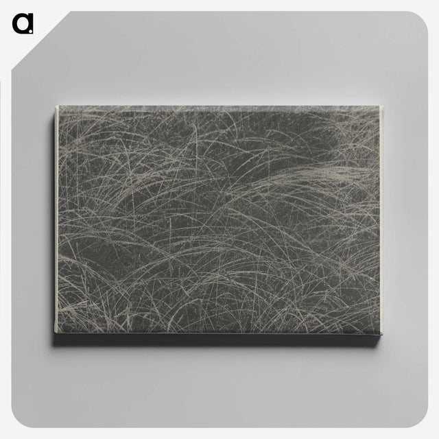 2-45_Alfred-Stieglitz_canvas