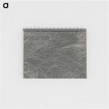 2-45_Alfred-Stieglitz_memo
