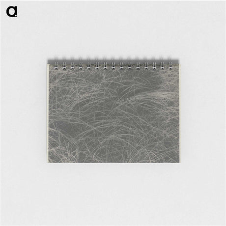 2-45_Alfred-Stieglitz_memo