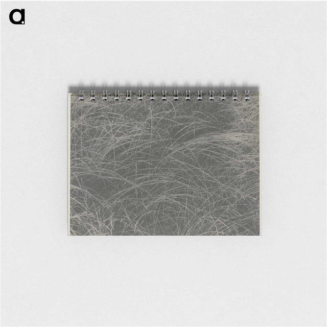 2-45_Alfred-Stieglitz_memo
