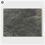 2-45_Alfred-Stieglitz_picture-crop
