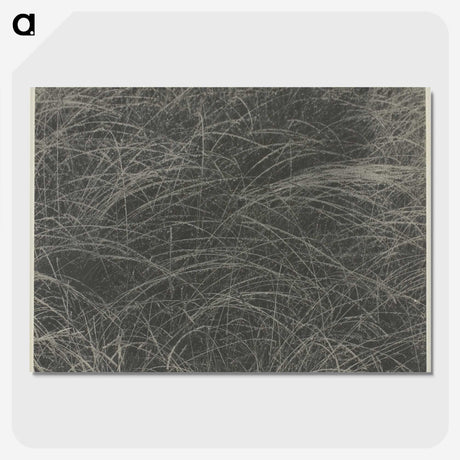 2-45_Alfred-Stieglitz_picture-crop