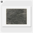 2-45_Alfred-Stieglitz_picture