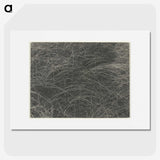 2-45_Alfred-Stieglitz_picture
