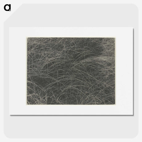 2-45_Alfred-Stieglitz_picture