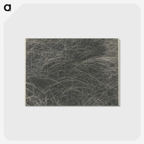 2-45_Alfred-Stieglitz_postcard