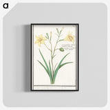 2-45_Anselmus-Boetius-de-Boodt_blk-crop