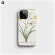 2-45_Anselmus-Boetius-de-Boodt_phone