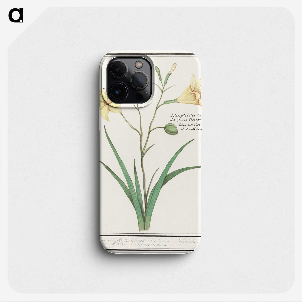 2-45_Anselmus-Boetius-de-Boodt_phone