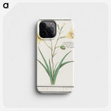 2-45_Anselmus-Boetius-de-Boodt_phone