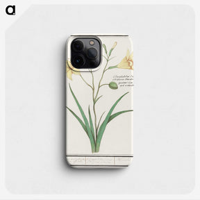 2-45_Anselmus-Boetius-de-Boodt_phone