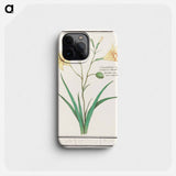 Yellow lily - アンセルムス ボエティウス デ ブート Phone Case.