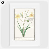2-45_Anselmus-Boetius-de-Boodt_picture