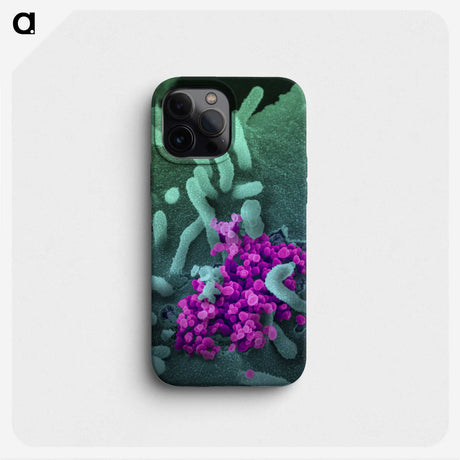 2-45_COVID-19_phone
