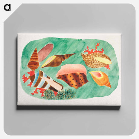 アートパネル-Shells in Seaweed
 - クリーブランド美術館 Canvas.