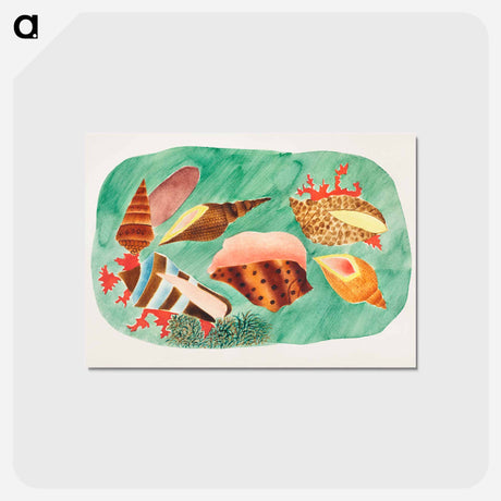 アートポストカード-Shells in Seaweed
 - クリーブランド美術館 Postcard.